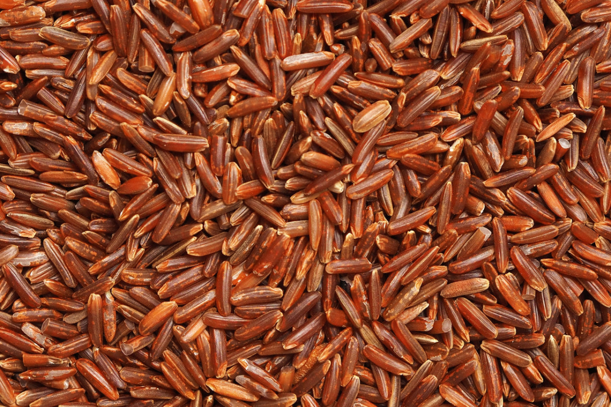 Why You Should Use Brown Rice Protein