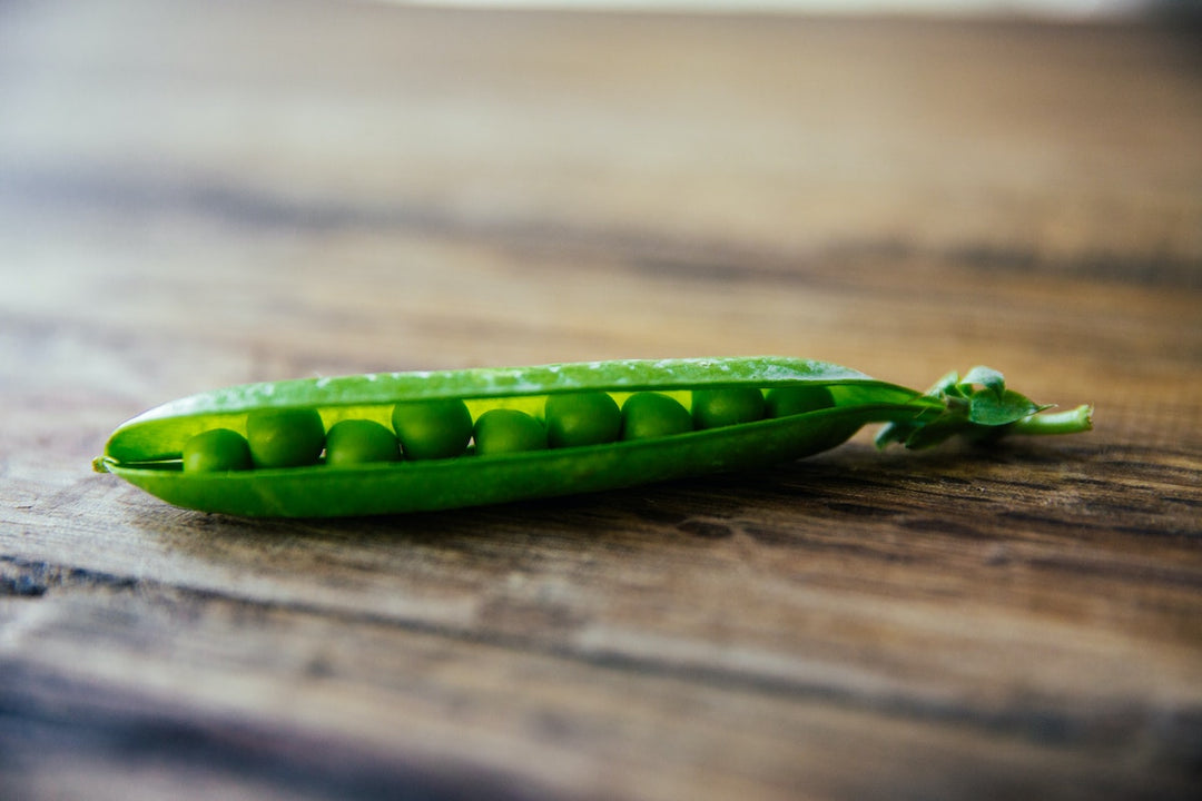 The Power of Pea Protein