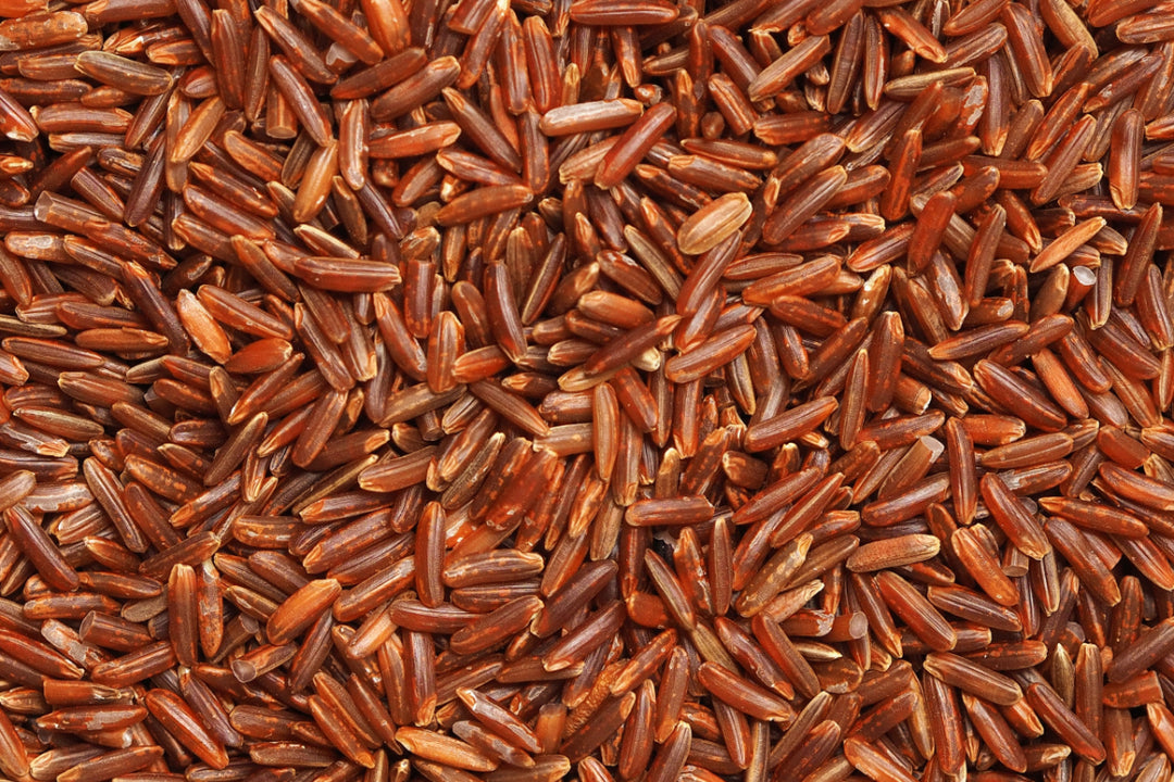 Why You Should Use Brown Rice Protein