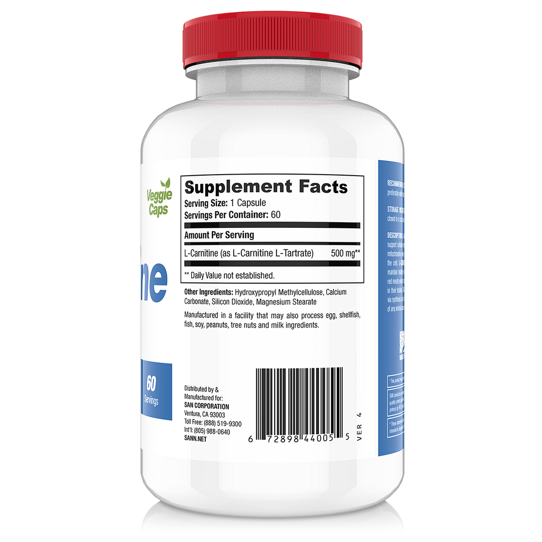 L-CARNITINE POWER