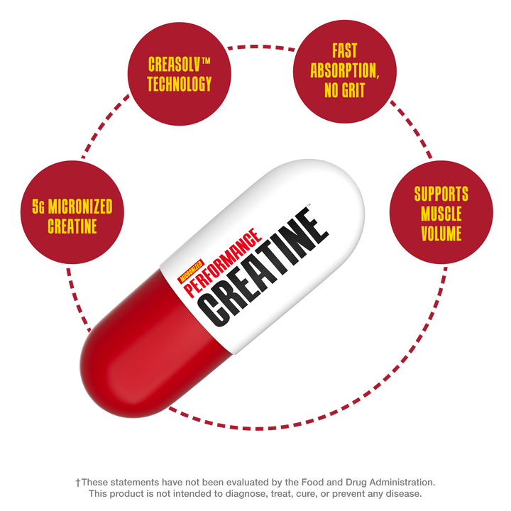 Performance Creatine (Micronized) - 240 Capsules