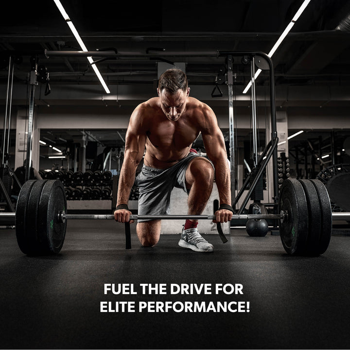 Performance Creatine (Micronized) - 240 Capsules