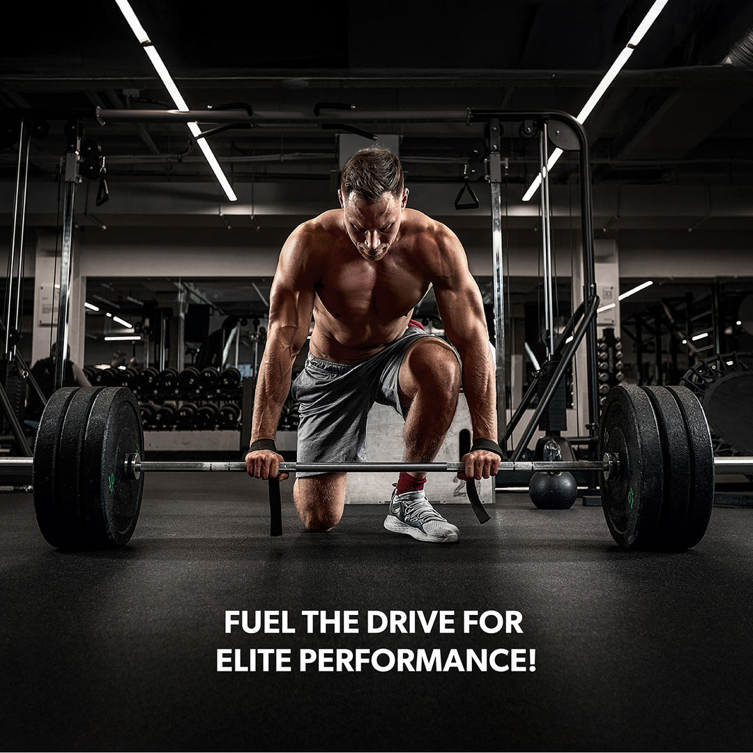 PERFORMANCE CREATINE